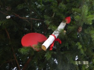 DSCN4191